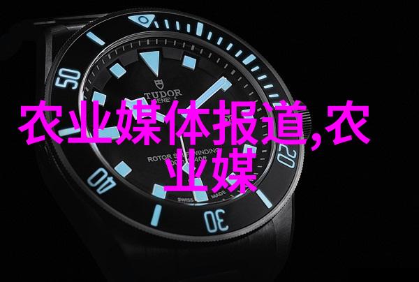 品味上乘探索好茶的特征与魅力
