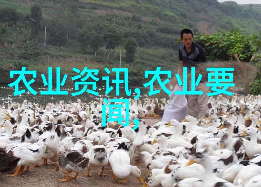 花间秘密家中哪种花能助您聚财