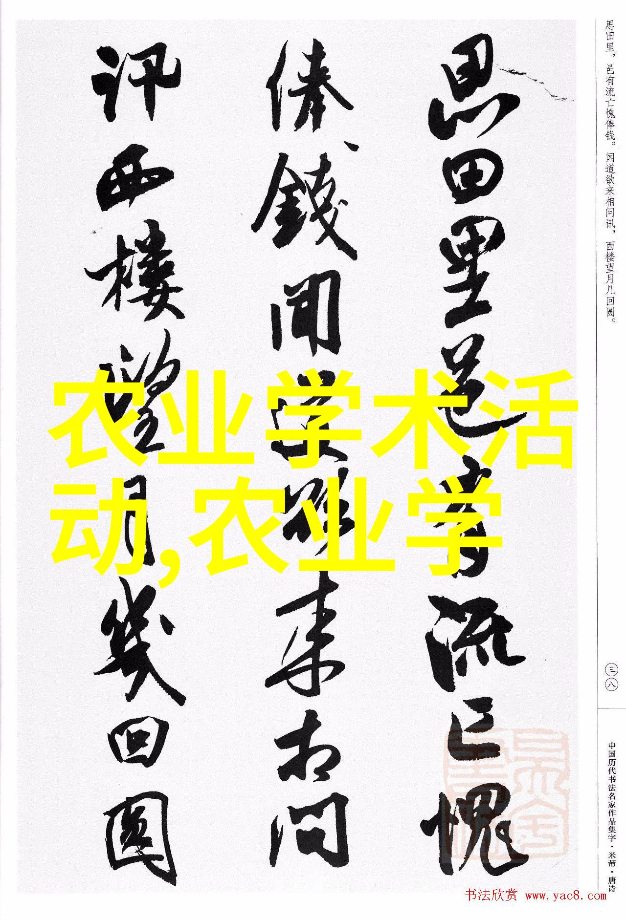 药材世界-探秘最贵的50大药材品质与价格的双重奇迹