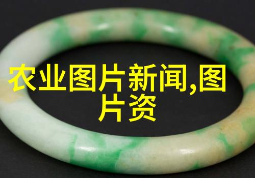风水好花探秘我来告诉你那些十大能带来福气的花儿