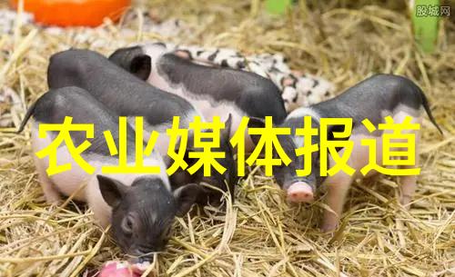 养殖户微信群-共享经验携手发展数字时代的农耕协同效应