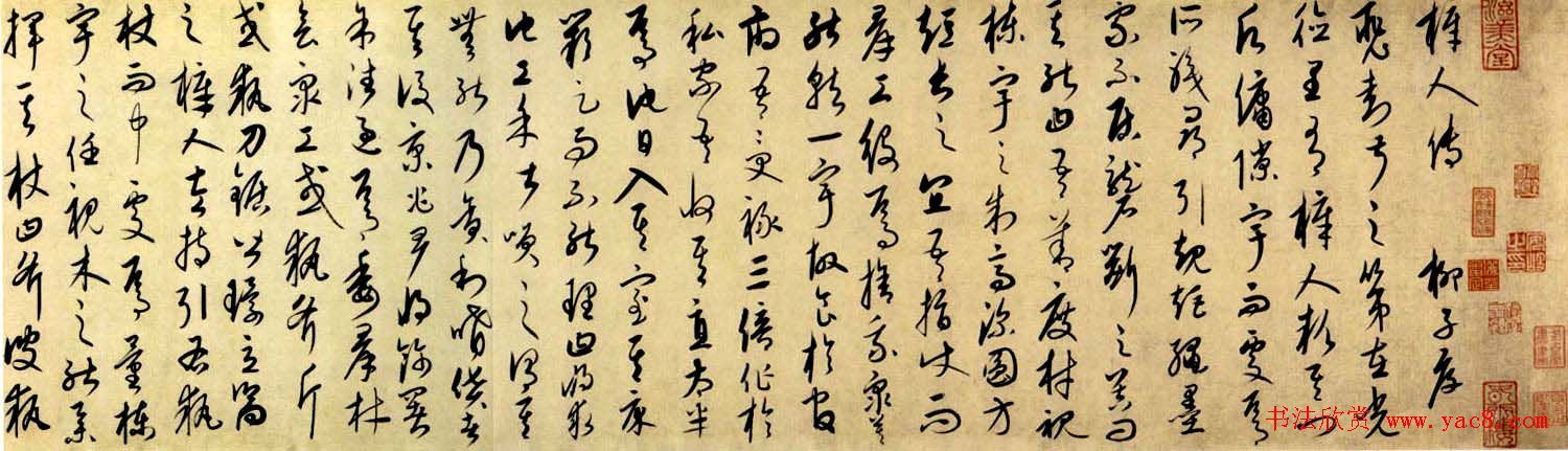 品鉴之旅如何识别高品质的绿茶红茶与乌龙