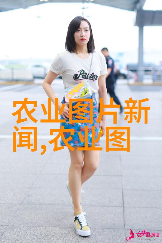 种植香菇大棚一亩投资多少钱我来告诉你这块地里栽香菇大棚要花多少