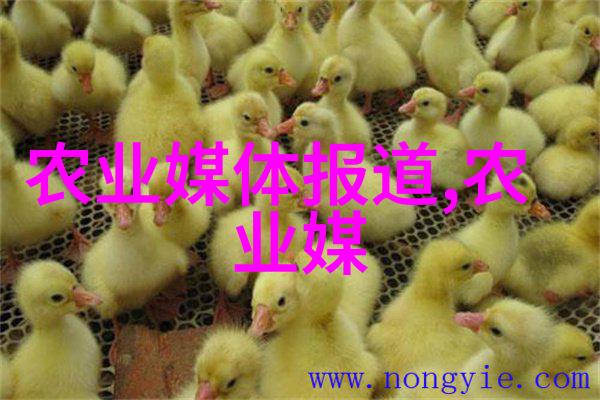 绿色雅致的家园盆栽花卉大全指南
