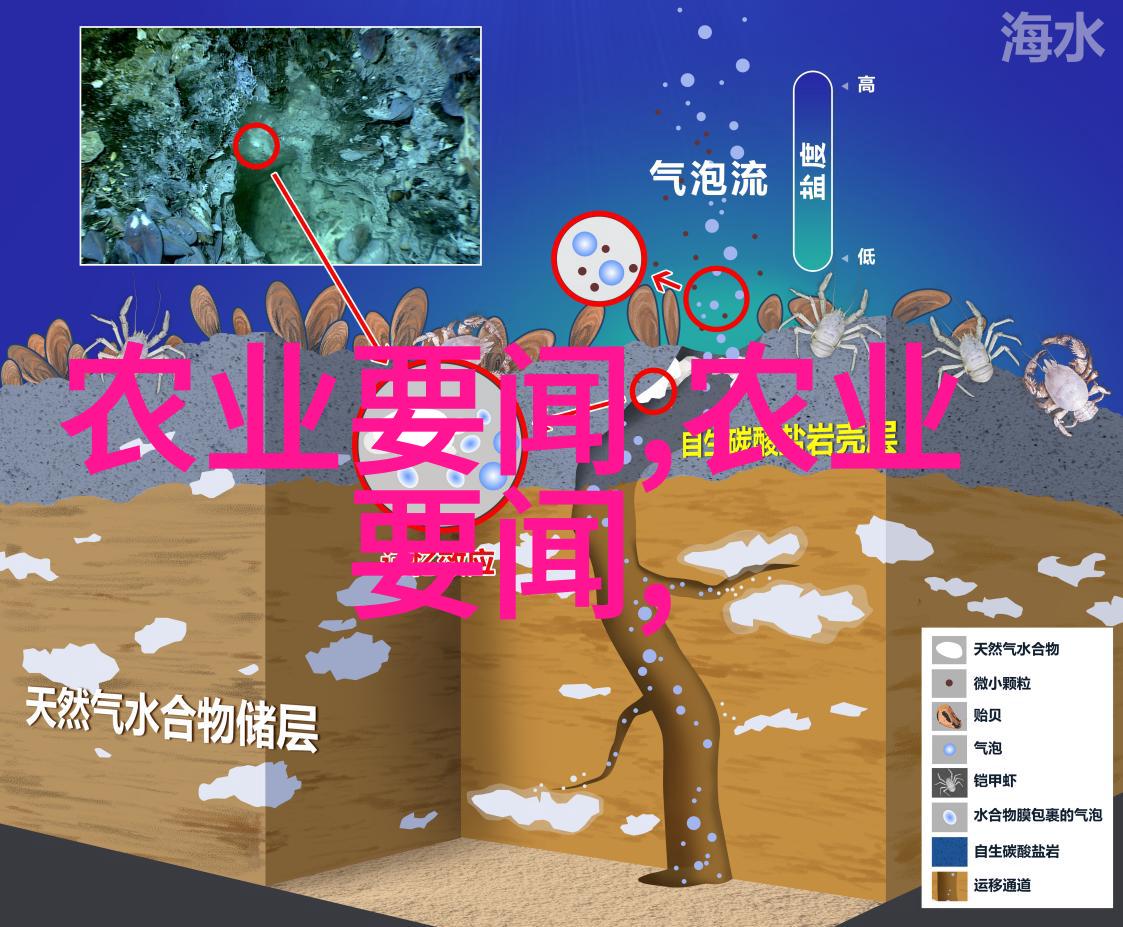 养牛补贴的时效性考量一次性发放与年度分配的对比分析