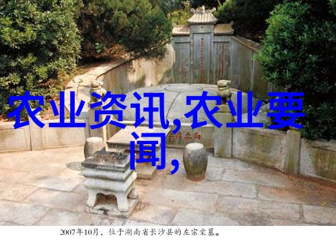 赚钱快的农场种植高收益作物选择与实用策略