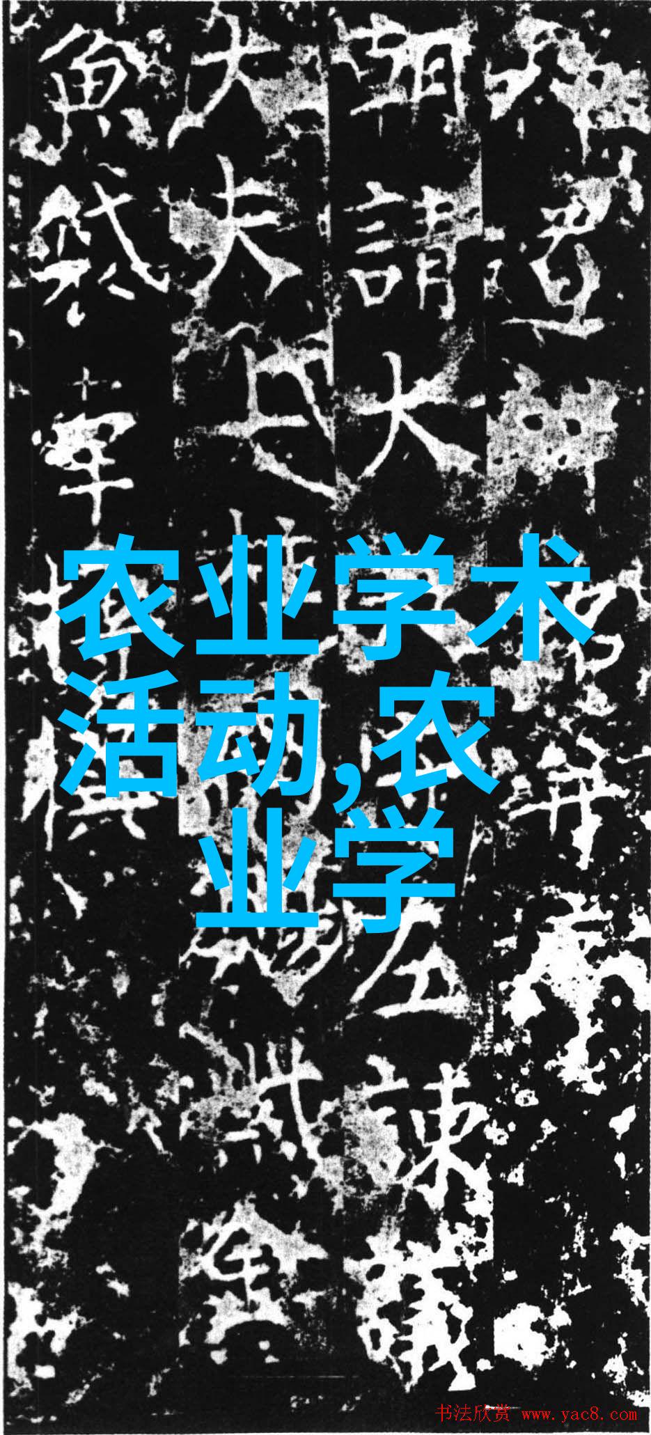 土地种什么最赚钱-丰收财富揭秘哪些作物能让你的土地成为金矿