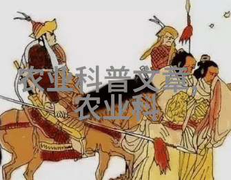 苗木采购合同范本编制指南树立绿色生态新篇章