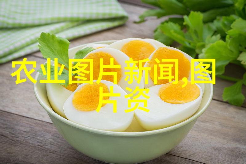 养牛技术培训提高牧场效率与收益的关键