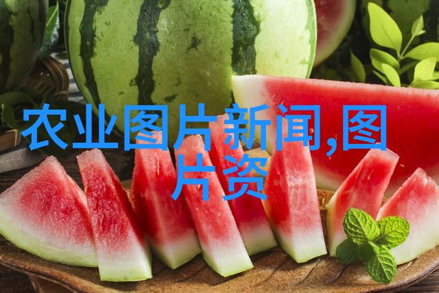 新茶香料大师探索传统与现代的交汇点
