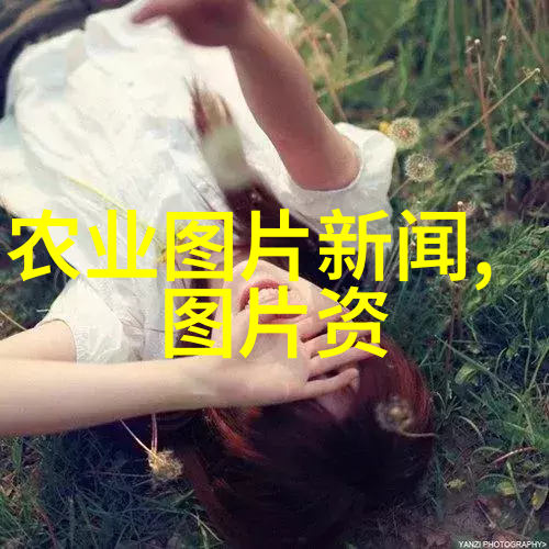 养殖鸭子健康又经济的家畜