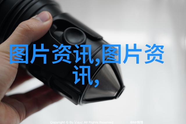 中国十大品种牛中华牛黄牛水牛牦牛双峰水 buffalo长角水 buffalo大花红皮马肉 cattl