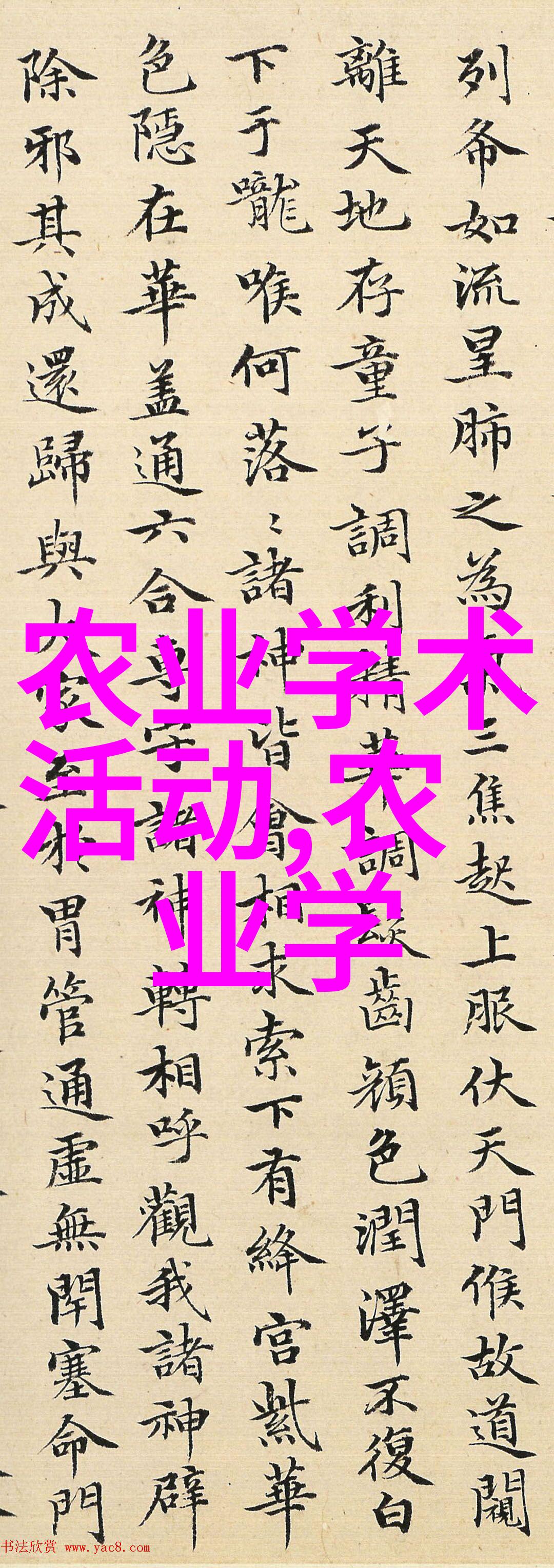 多功能农用耕地拖拉机我是怎么把耕地工作变得轻松多了