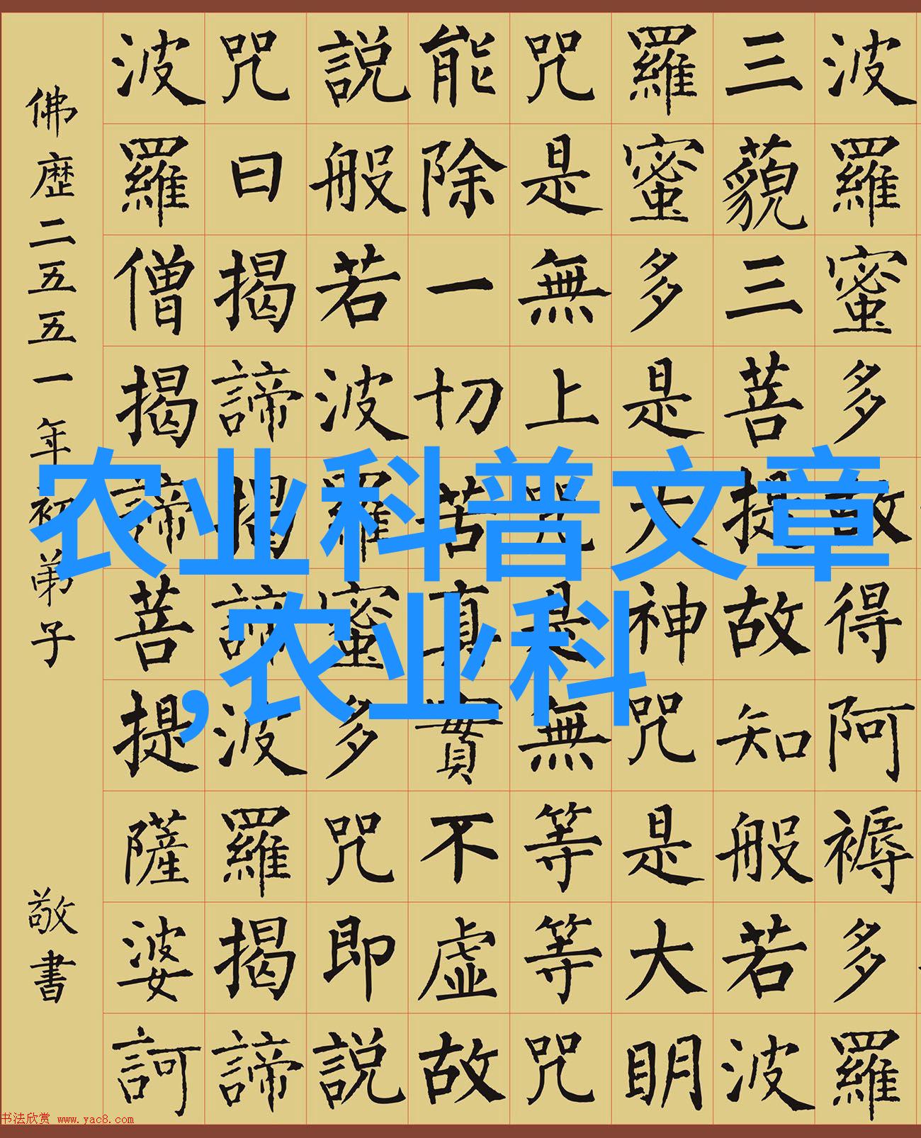 跨越半生五十岁以上人才的再起之旅