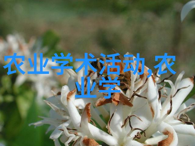 森林中的三位一体探索苗木种类的多样性与分类