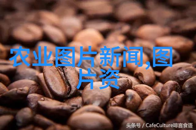 从画布到病房中草药6000种图解的临床应用