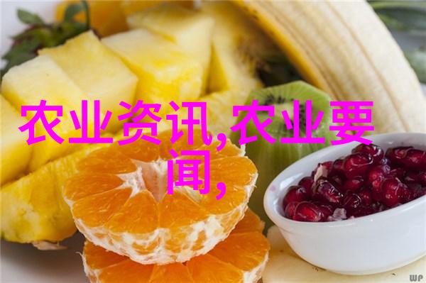 农村小工厂暴利 - 农民工厂梦与价格战的艰辛交响曲