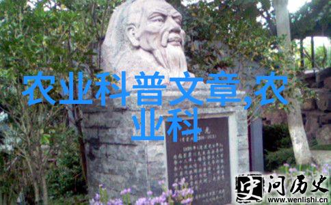 冬日蔬菜园绿意盎然的寒冷守护者
