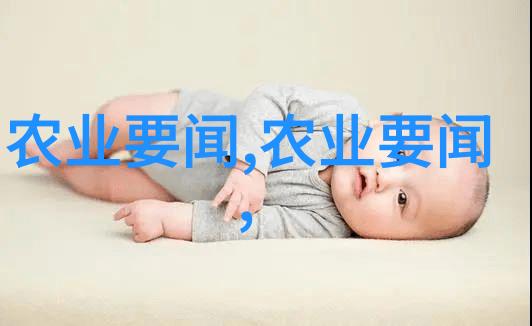 家居美学财源滚滚的五种室内植物