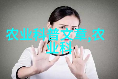 潮流与韵律的交响顶级RAPPER在日本的登场
