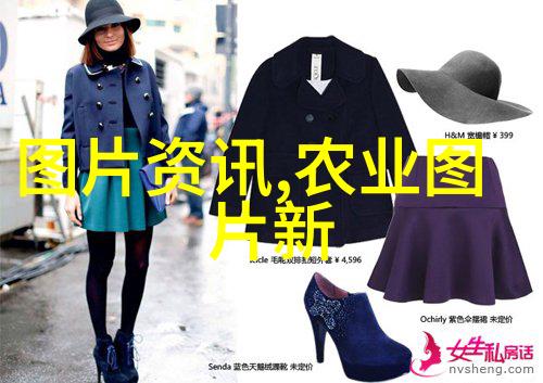 丰收盛宴带种子的水果图片集