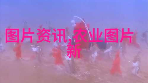 湖羊养殖技术视频玉米苗可用粪便浇水乌龟粪水适用于滋润蔬菜