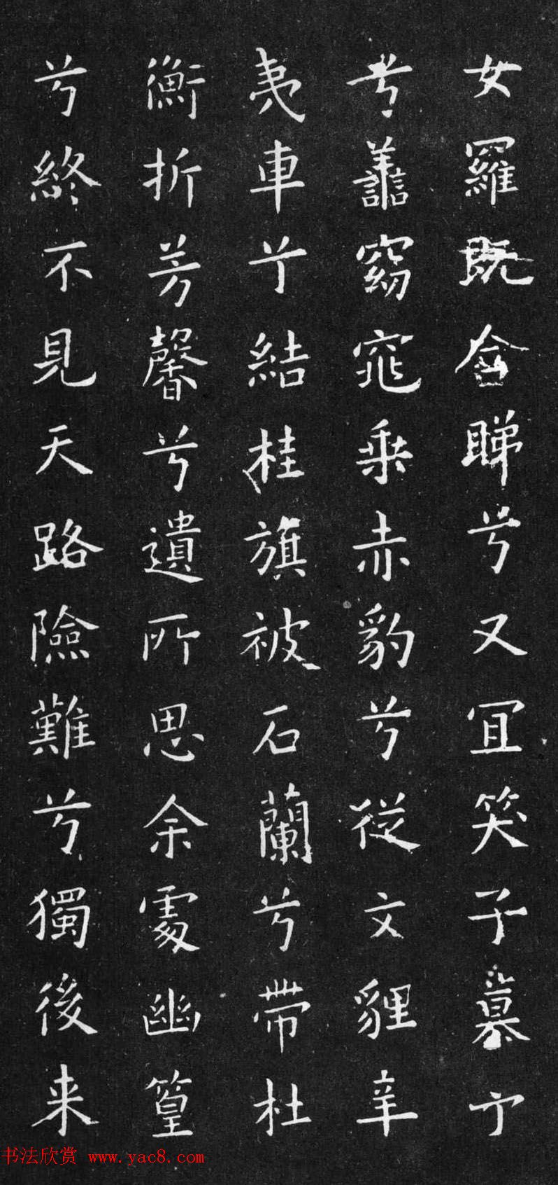 小农户能否从中获得更多收益探索农业养殖销售平台的公平性问题