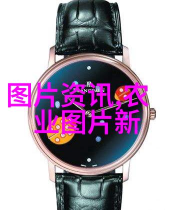 盆栽花卉大全种植技巧与养护指南
