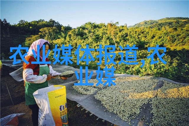 种植什么东西最赚钱农村新贵的选择