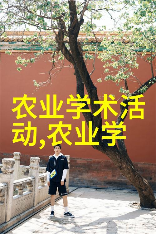 鸡爪槭的迷人魅力一探其价格与市场价值