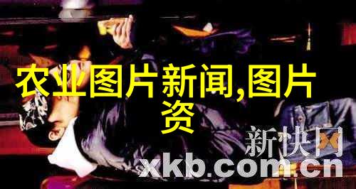 蜂群的智慧解密三活养蜂之谜