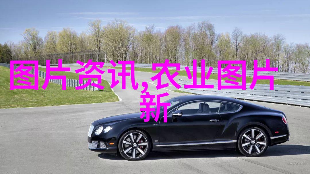 快速引领蜂群的智慧探索蜂王寻找技巧