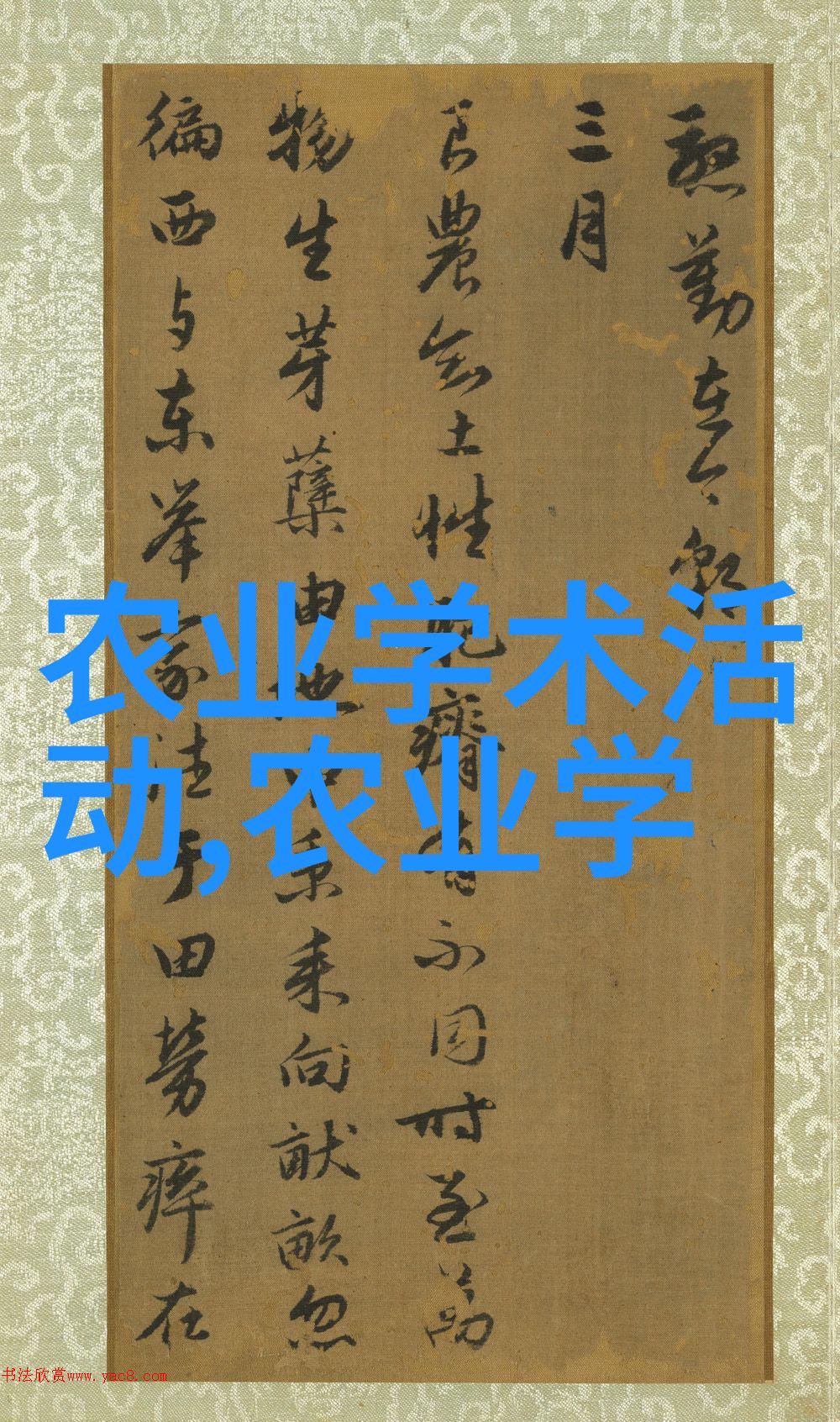 黄鳝养殖技术培训手册从基因选择到市场营销的全过程指导