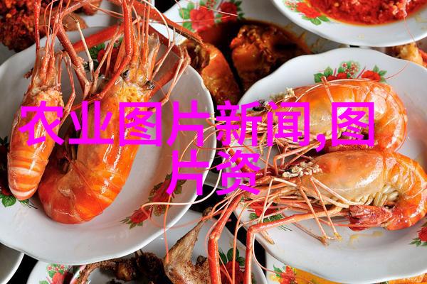 10年枫树一棵多少钱我家的那棵红叶子成熟了你要不要来看
