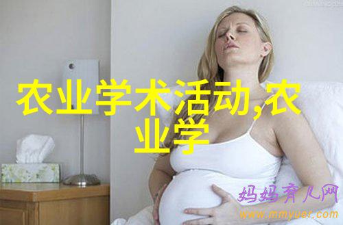 中华蜜蜂的智慧与魅力CCTV7探索养蜂艺术