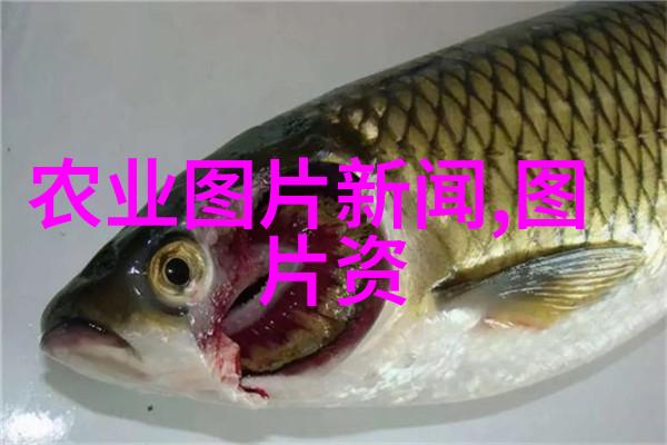 一年生药材种类繁多一年生草本药材的多样性