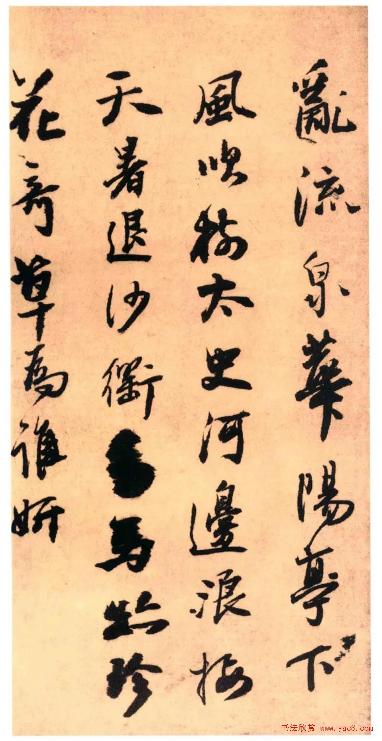 园艺新潮在花盆中种植的美妙之旅