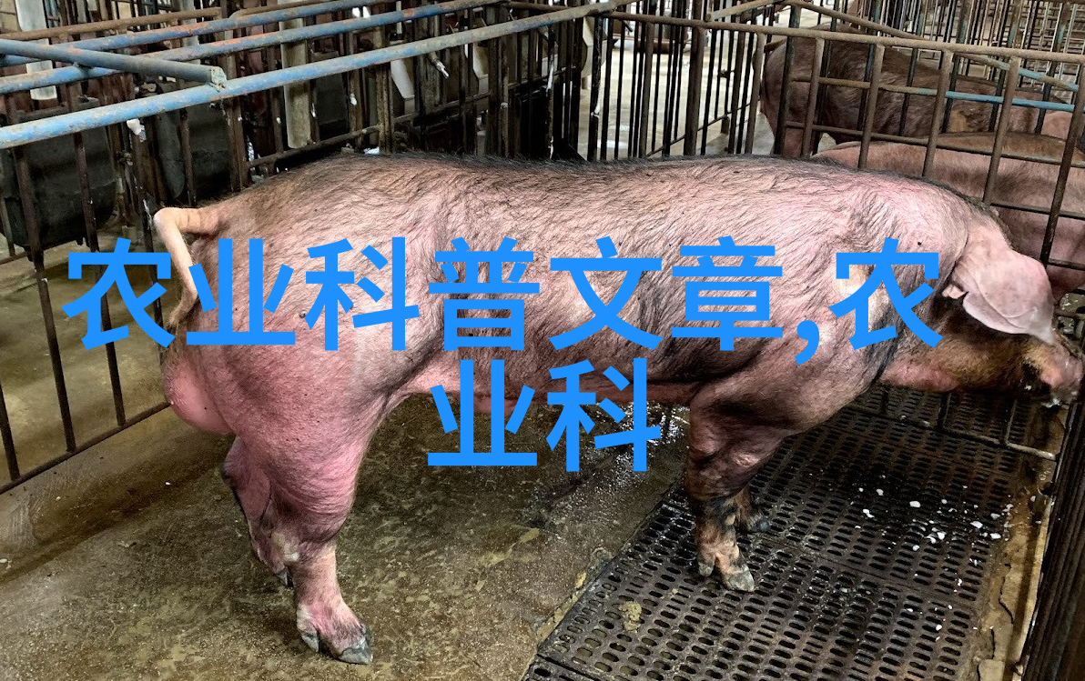 云南花卉绿植批发基地专业种植丰富品种优质供应