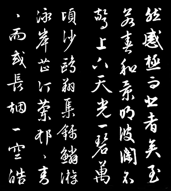种子进货渠道我的经验分享从农贸市场到专业平台的探索之旅