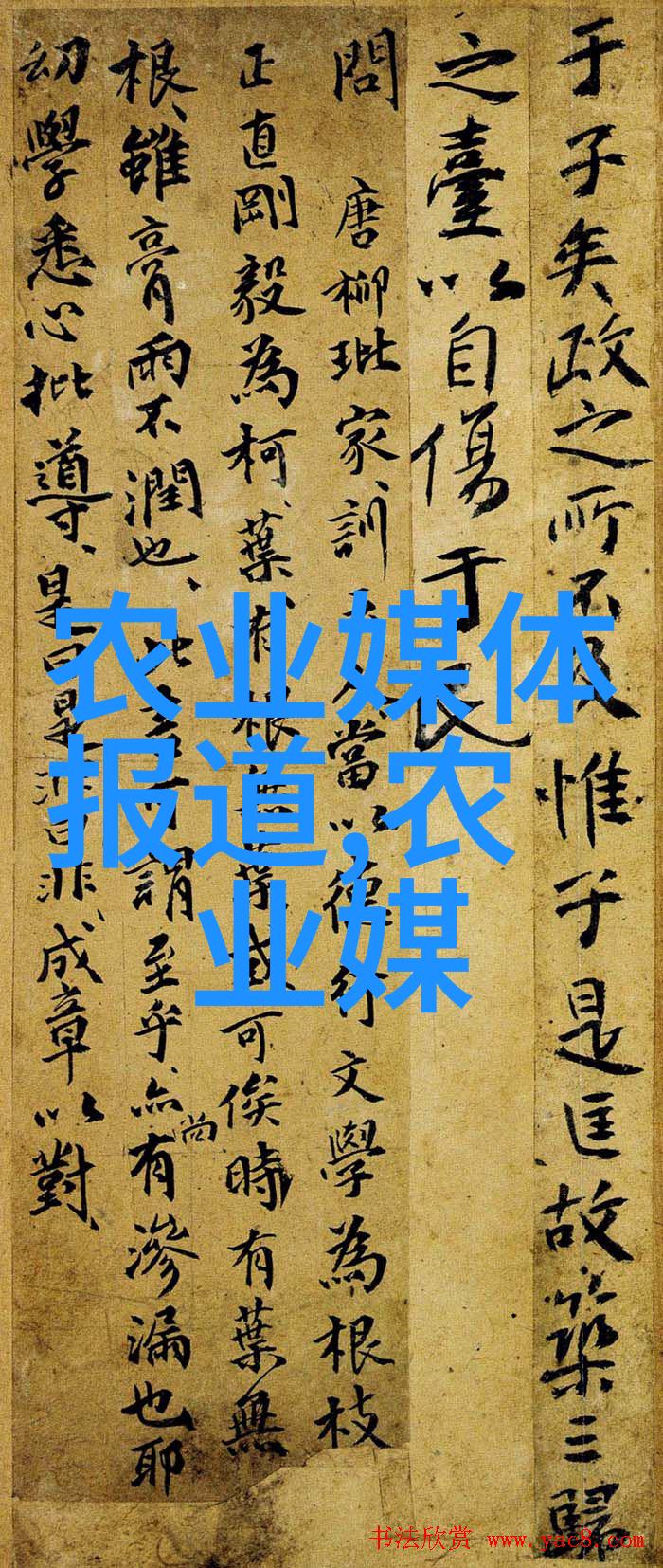 紫薇树梦十五寸之恋的市场交响