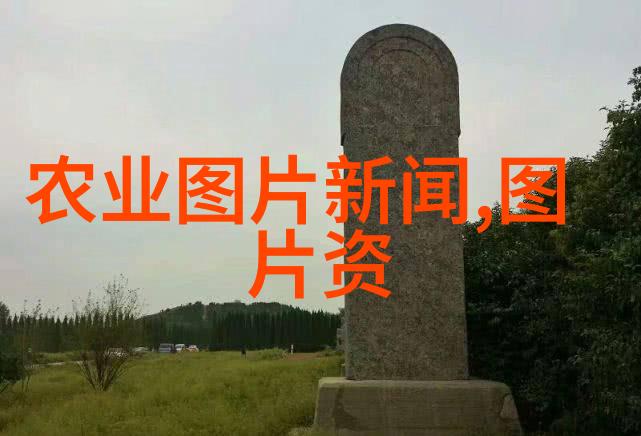 春意盎然园丁的秘密花园