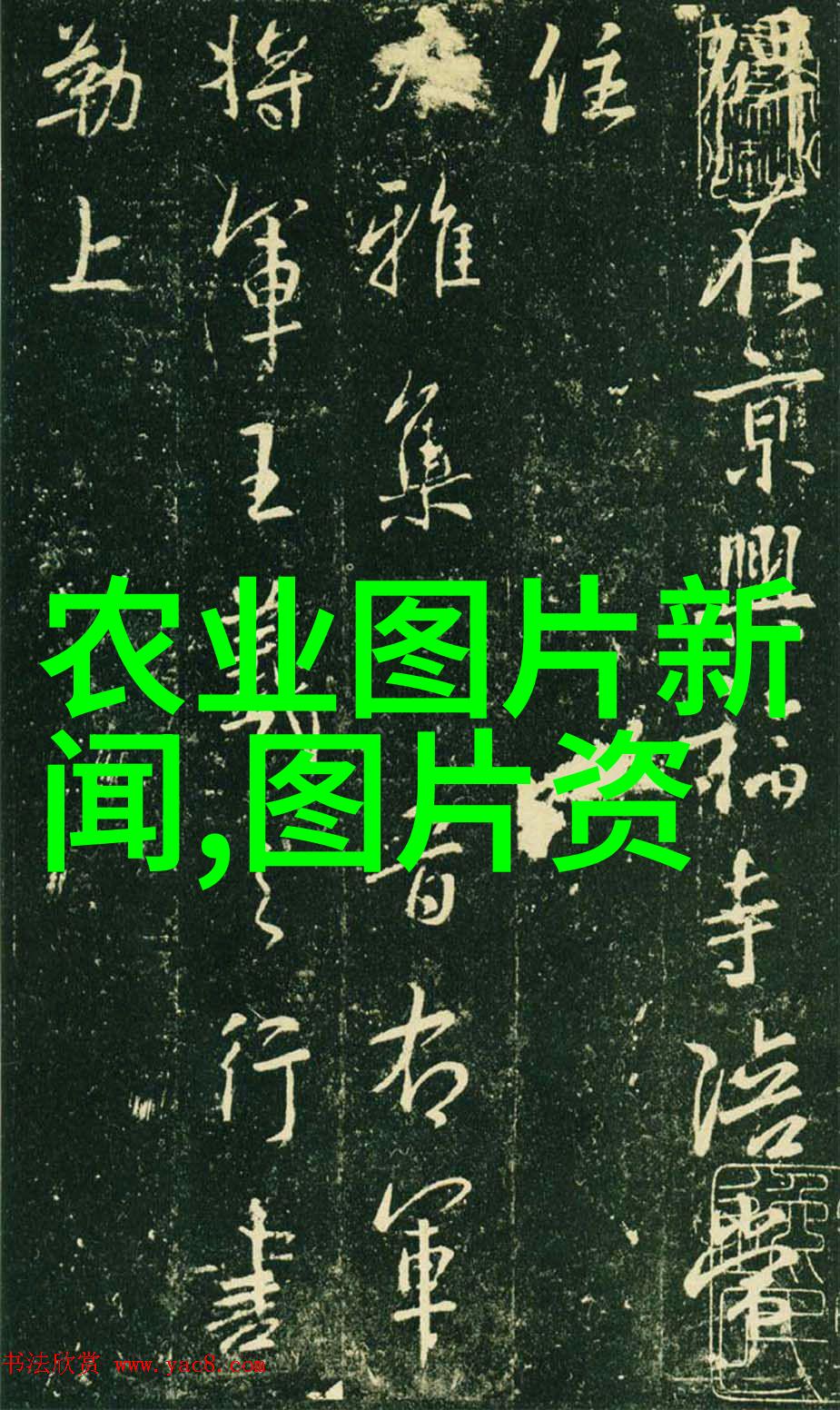 养10头牛只一年赚多少我这边试试看能挣到多少钱