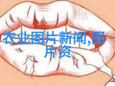 海上繁花绘梦篇