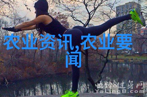 资本保健费是否应纳入所得税计算范围