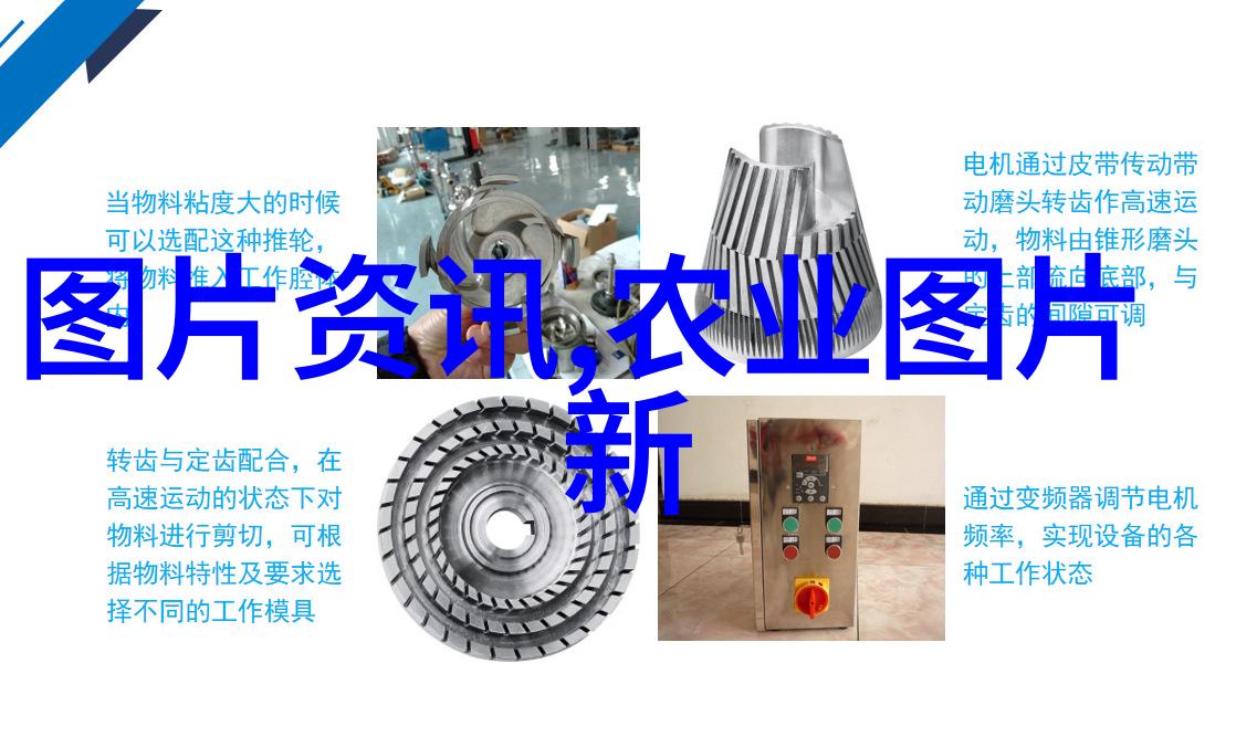 从繁忙都市角落到绿意盎然的家庭阳台一对年轻夫妇如何用种菜盆重塑生活节奏