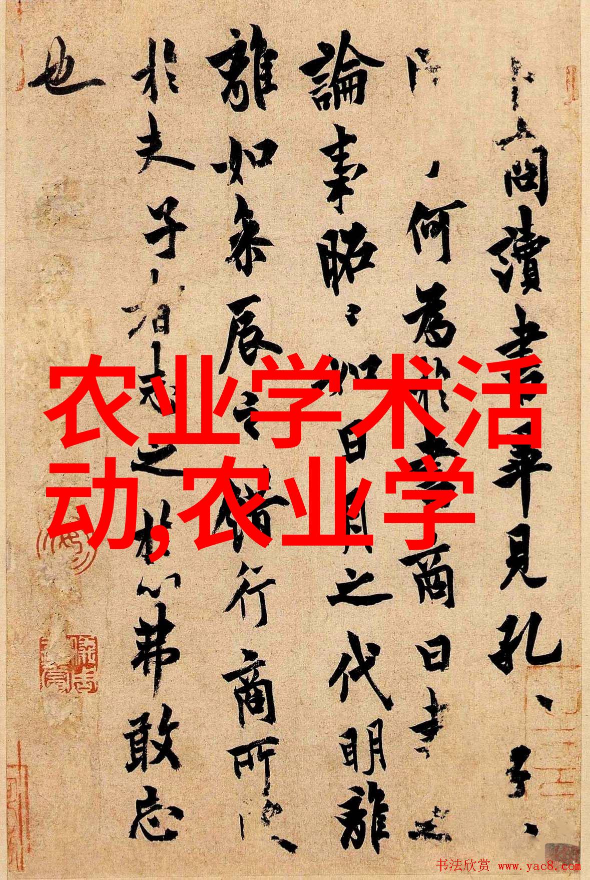 未来城市农业模式将如何融合生态经济和社会价值