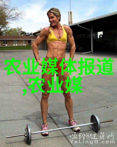 夏日养蜂技巧精髓夏天养殖蜜蜂的详细方法和经验总结