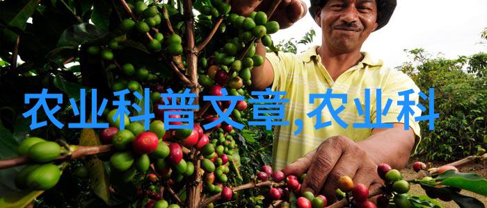 花海奇缘揭秘那些不为人知的植物故事