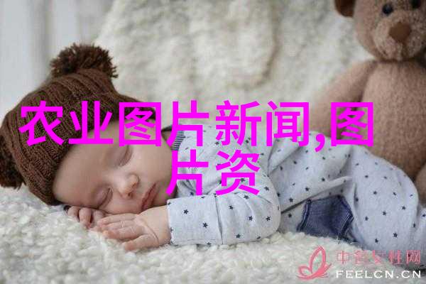 冬日蔬菜之恋探秘冬季种植的技巧与挑战