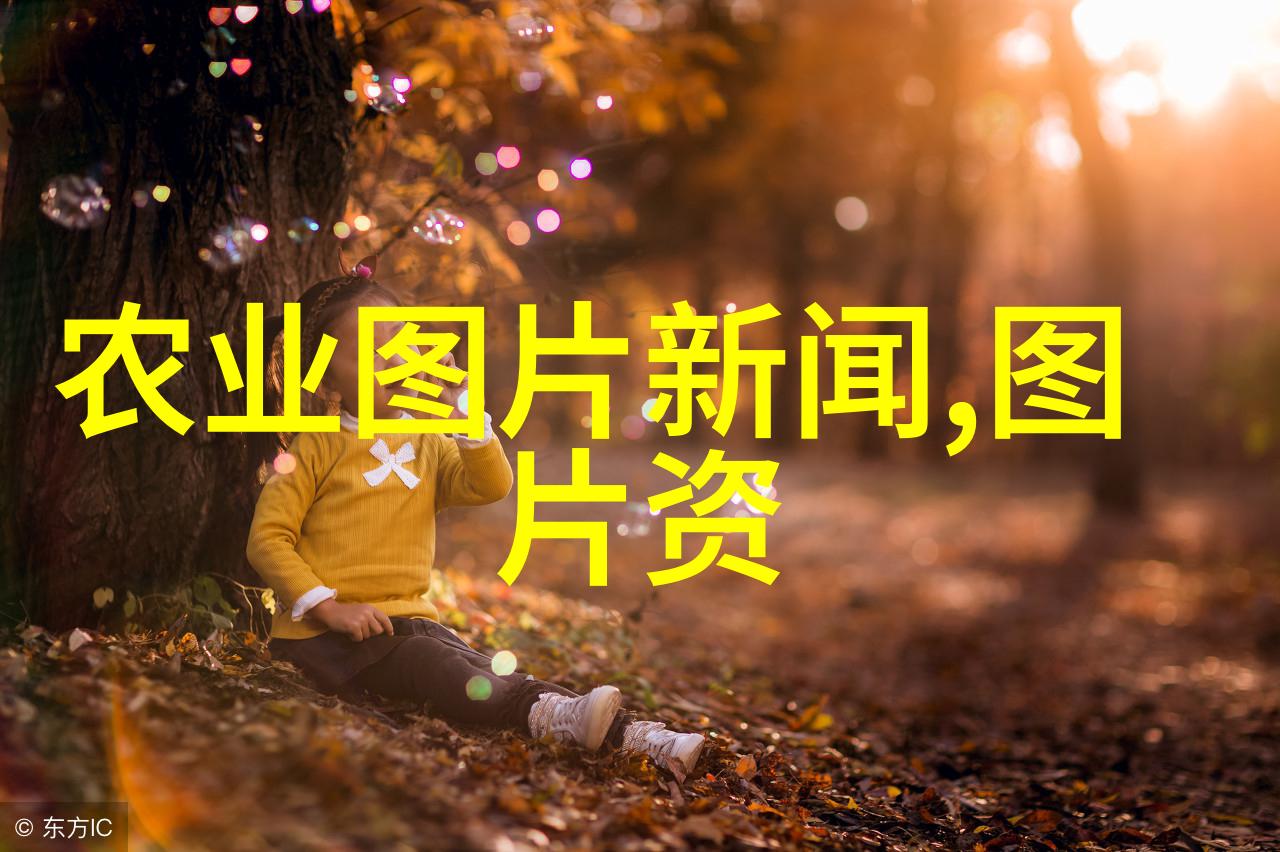 土蜂和蜜蜂数量分布又有什么不同之处